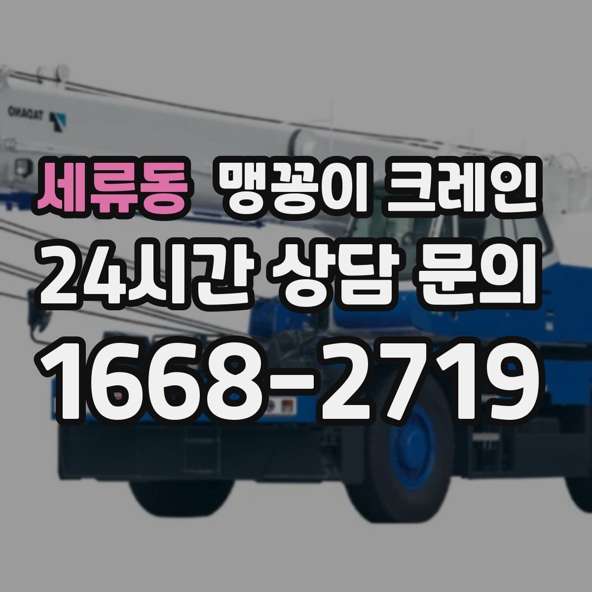 세류동 맹꽁이 크레인 1시간 작업도 실패 없이 끝내는 준비