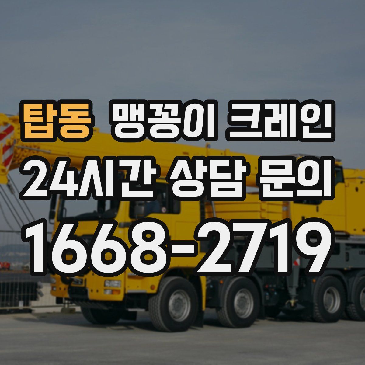 탑동 맹꽁이 크레인