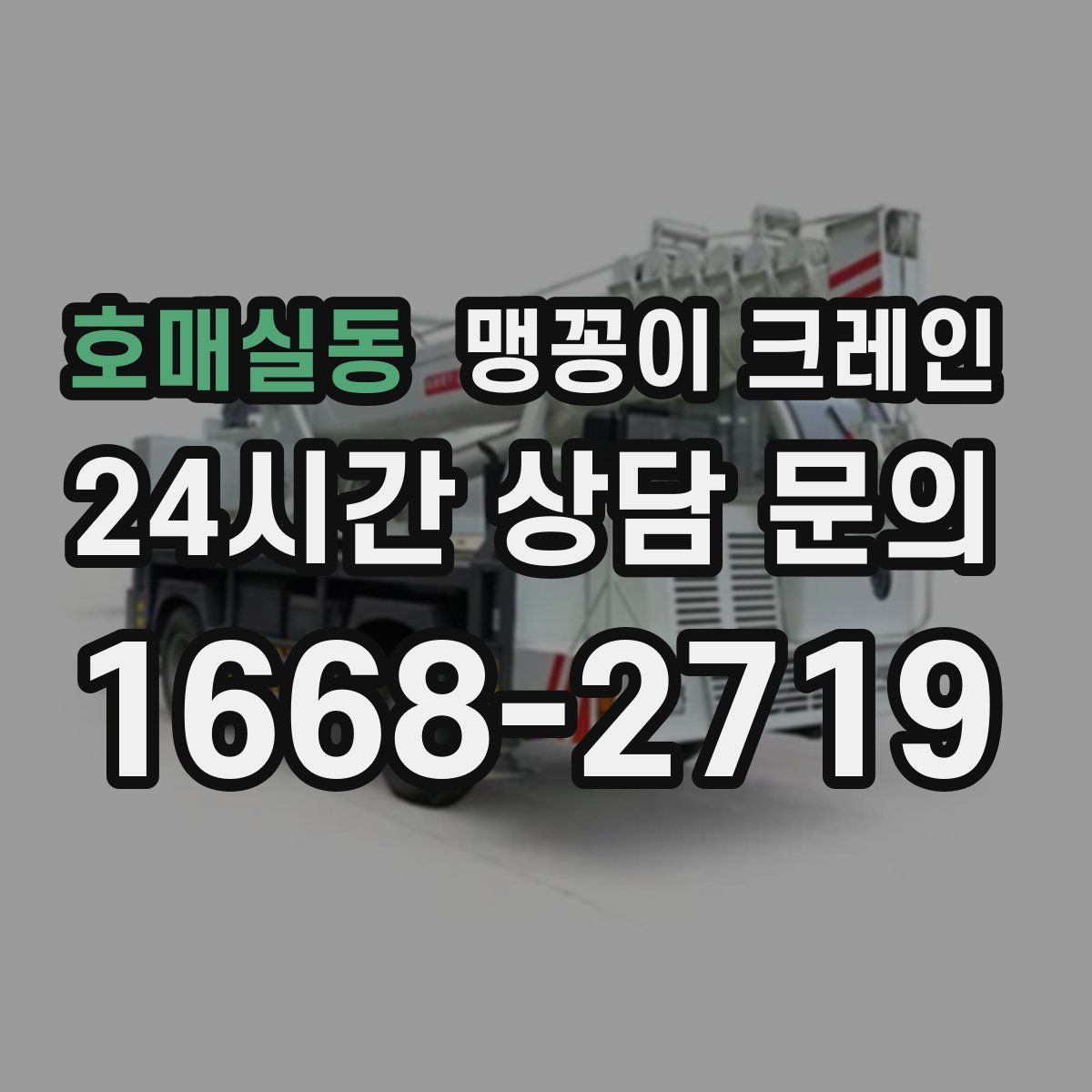 호매실동 맹꽁이 크레인