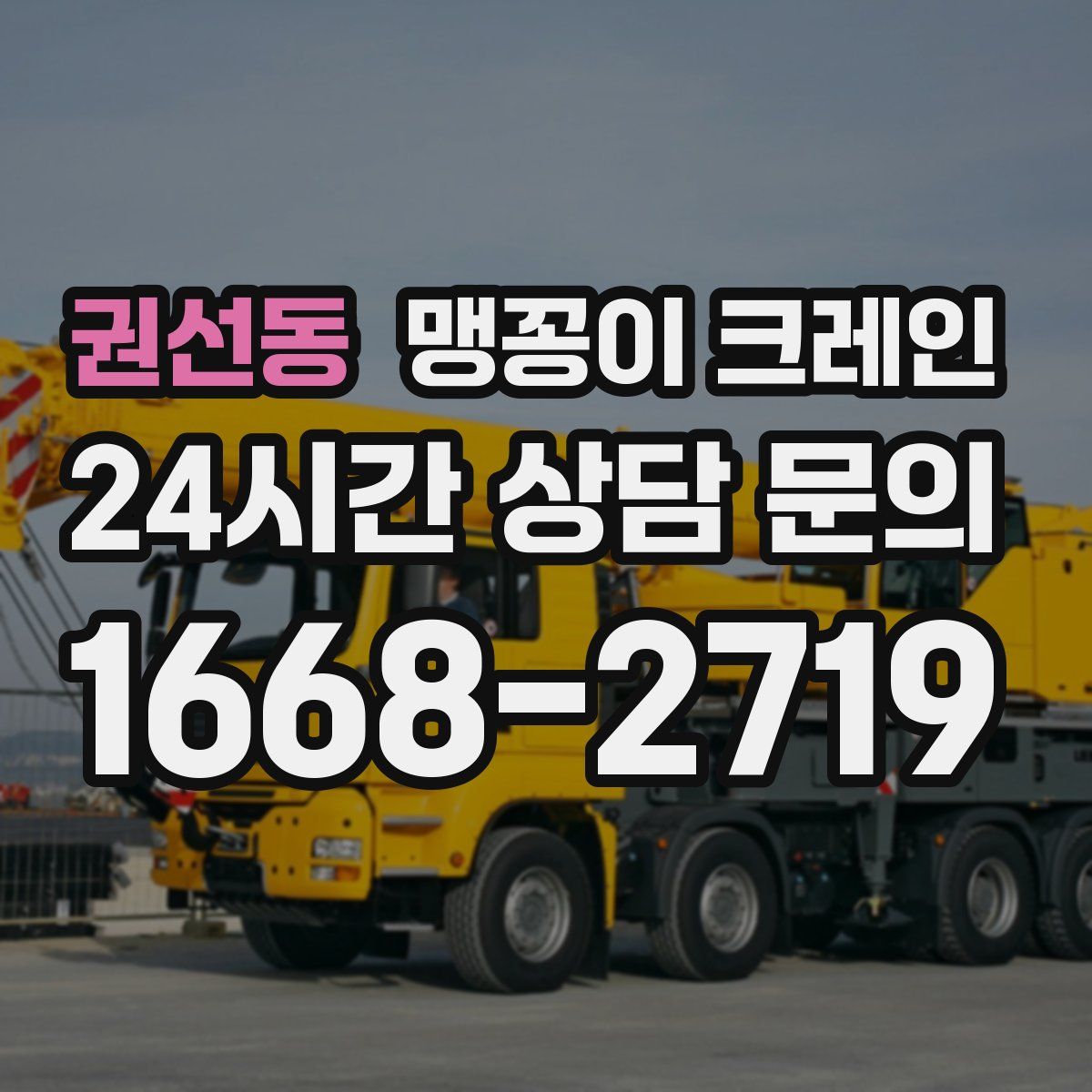 권선동 맹꽁이 크레인