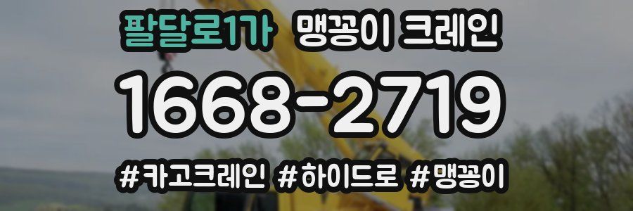 팔달로1가 맹꽁이 크레인