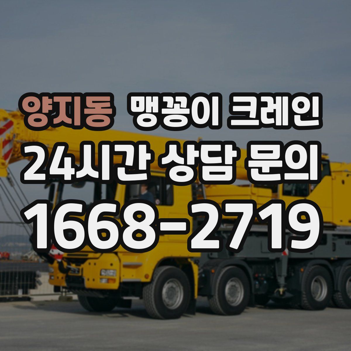 양지동 맹꽁이 크레인