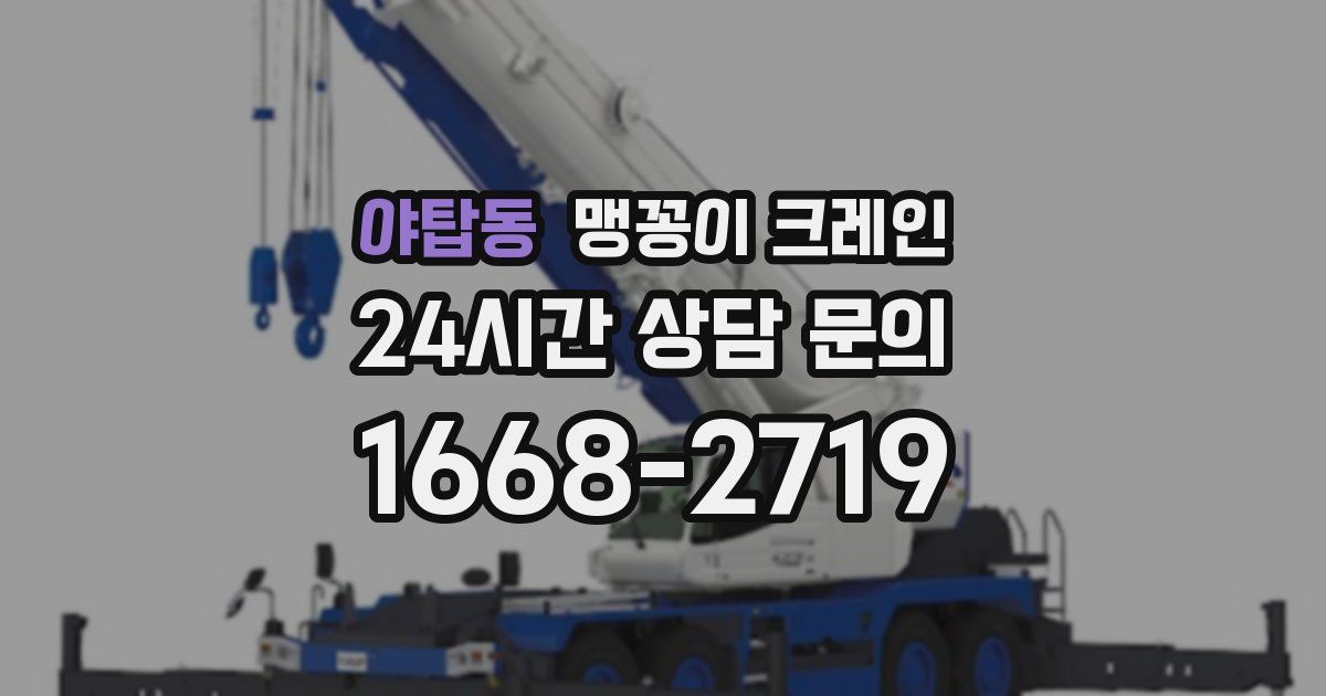 야탑동 맹꽁이 크레인