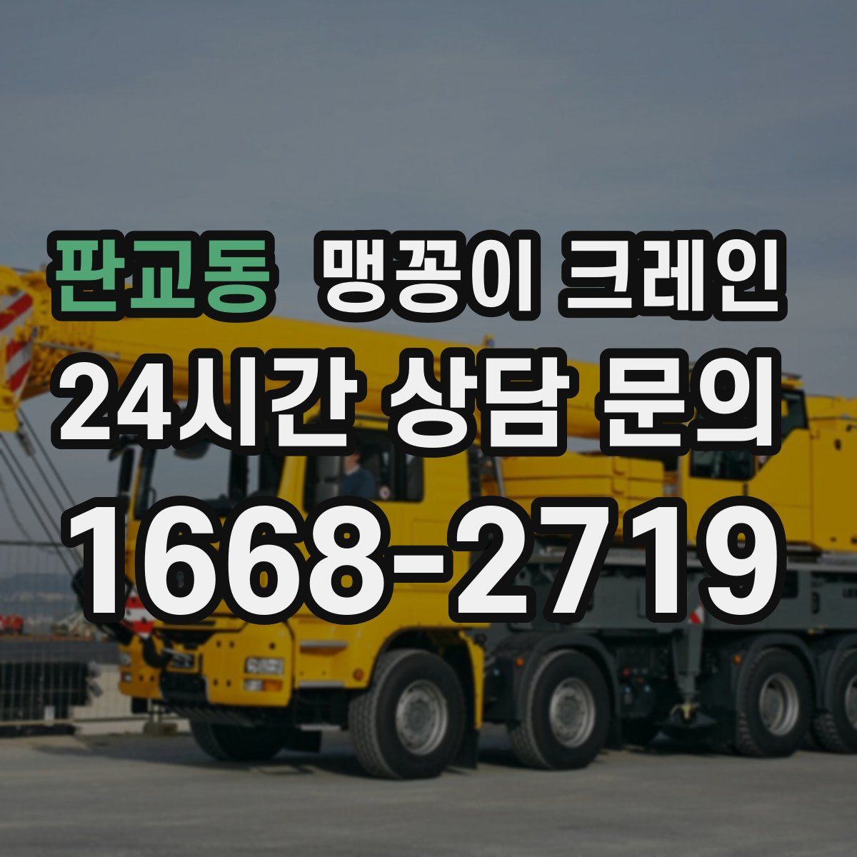 판교동 맹꽁이 크레인
