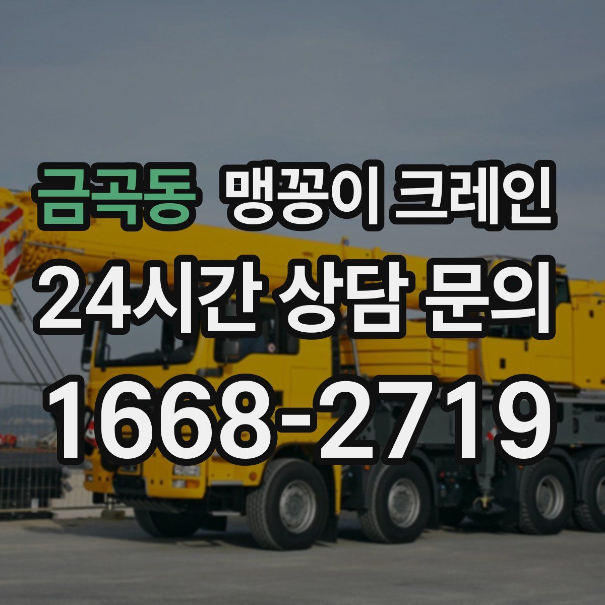 금곡동 맹꽁이 크레인