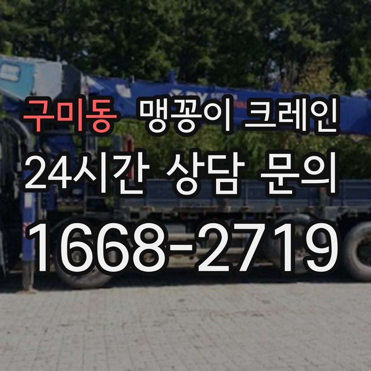 구미동 맹꽁이 크레인