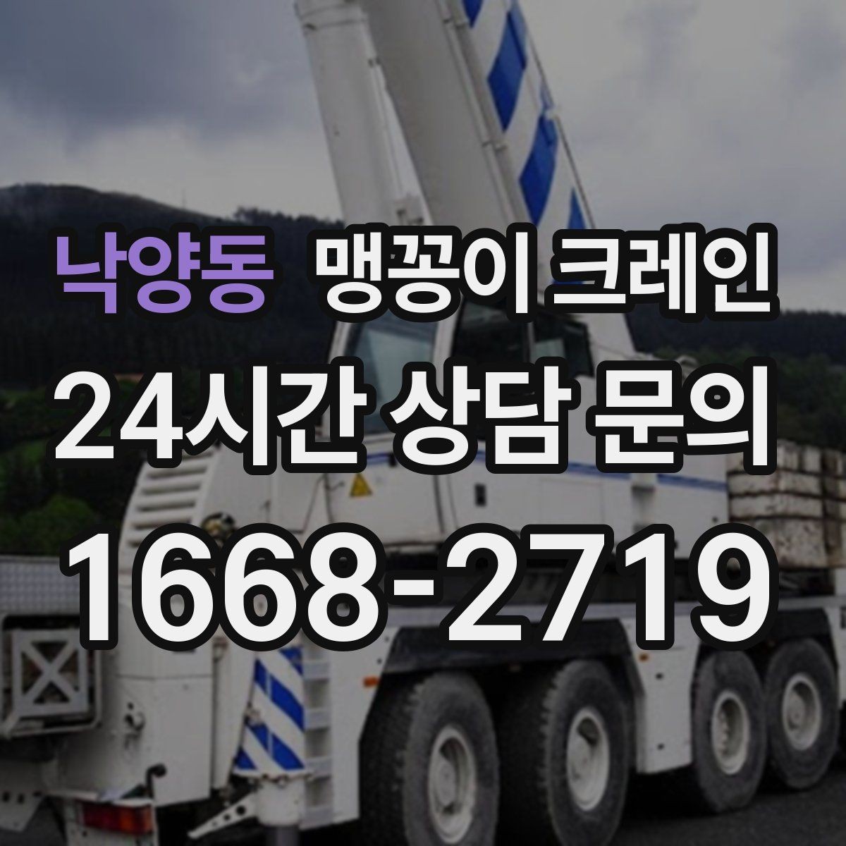 낙양동 맹꽁이 크레인 카고 크레인과 어떤 점이 다른가요