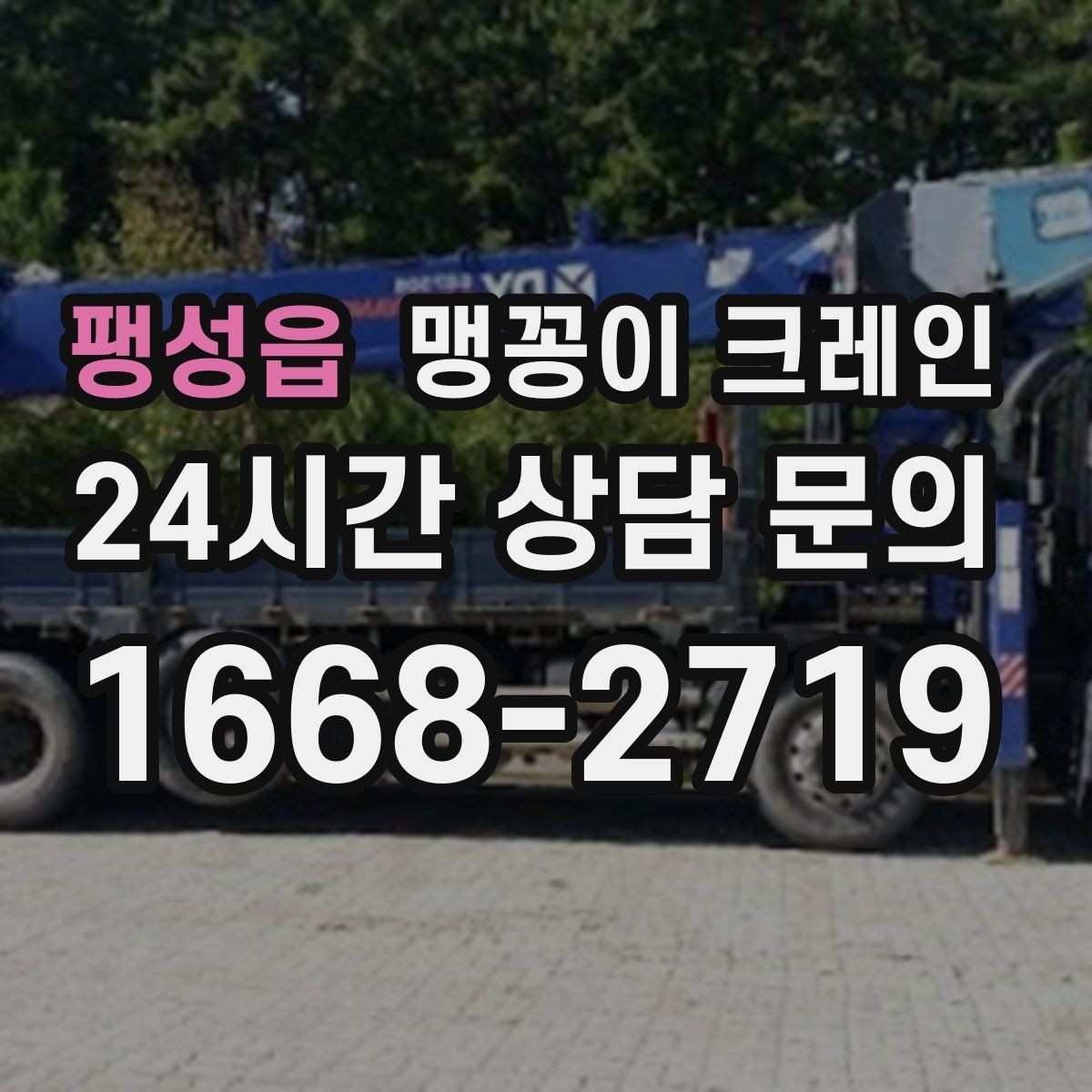팽성읍 맹꽁이 크레인 출입로 사진이 왜 중요한지 한 번에 정리