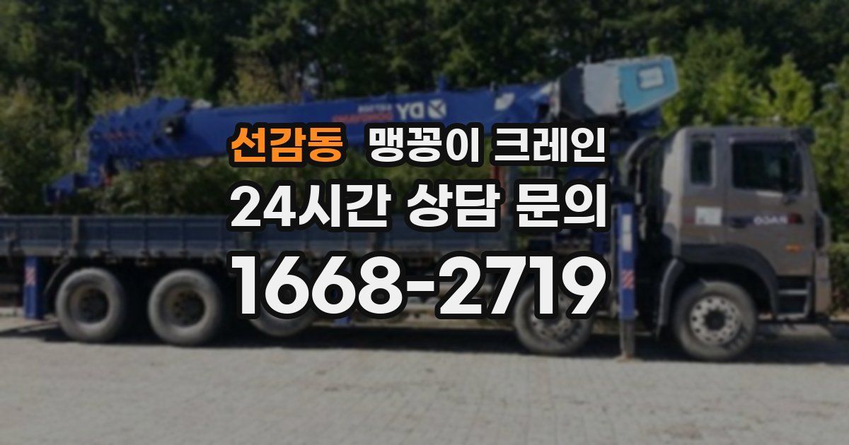선감동 맹꽁이 크레인