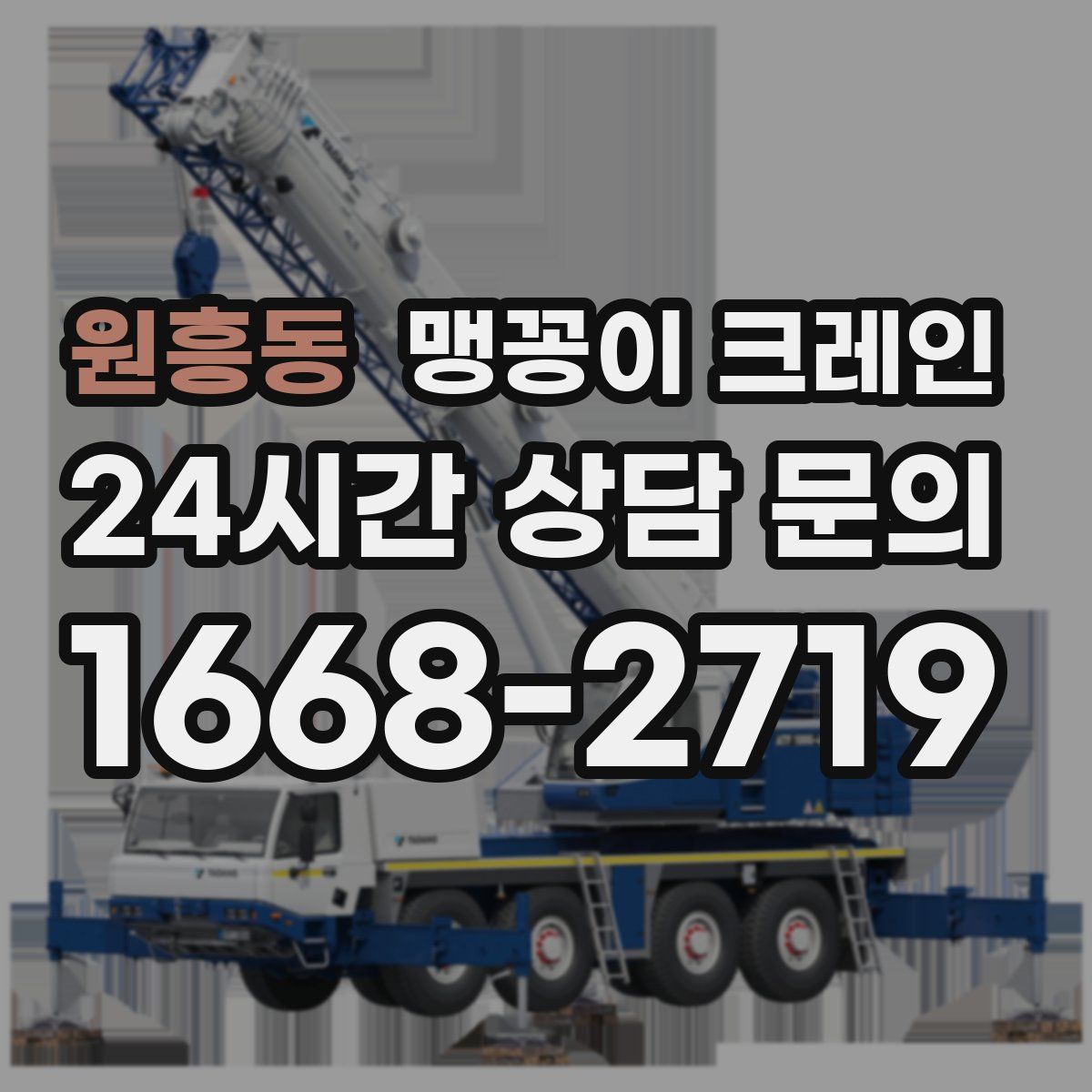 원흥동 맹꽁이 크레인