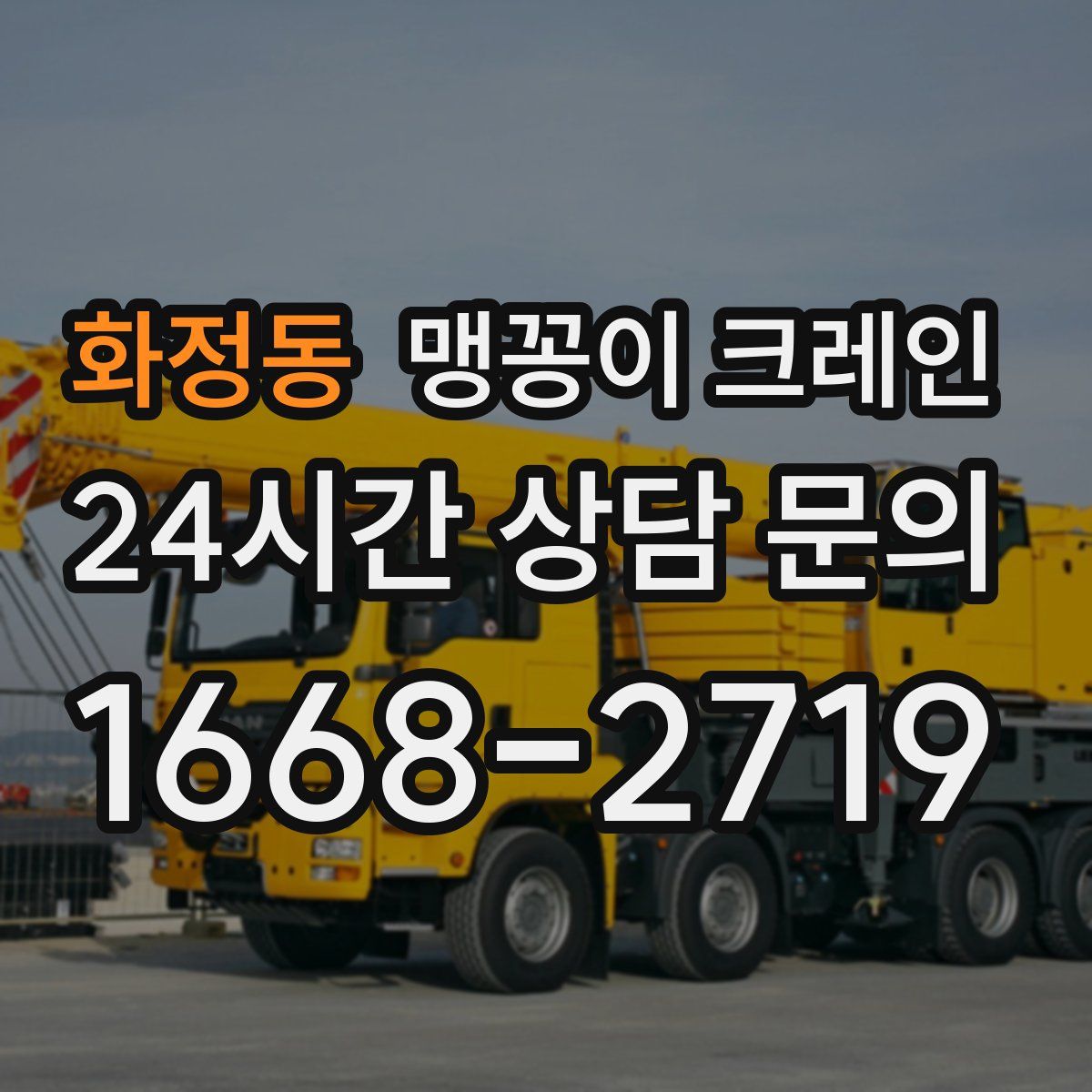 화정동 맹꽁이 크레인