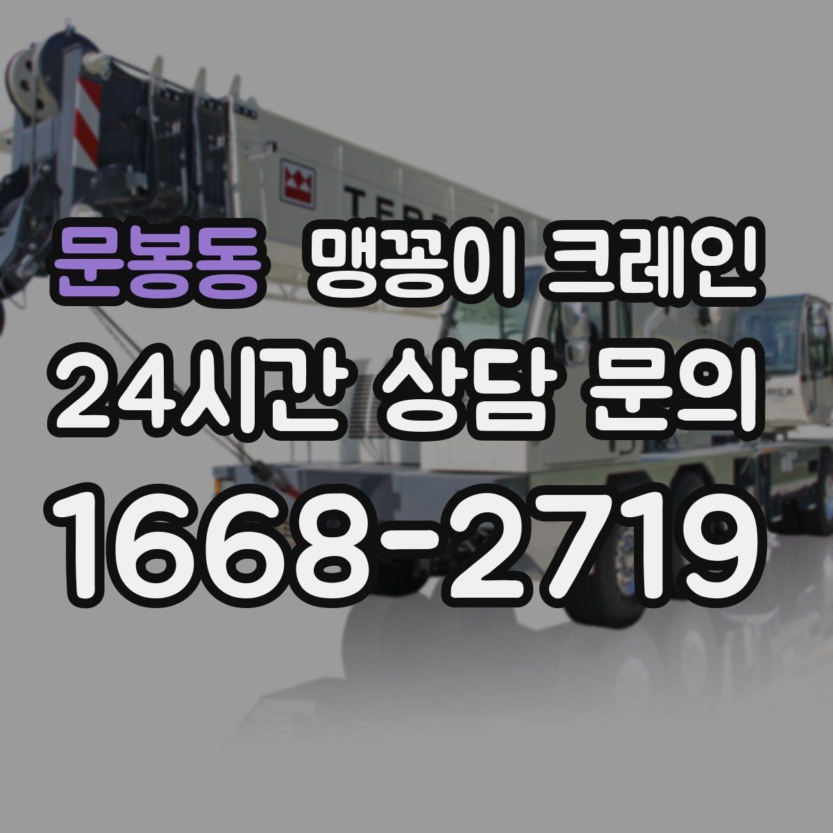 문봉동 맹꽁이 크레인 작업 시간대 선택이 중요한 이유