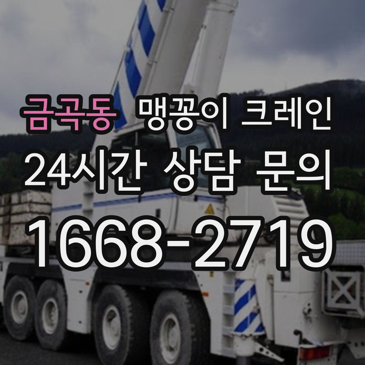 금곡동 맹꽁이 크레인