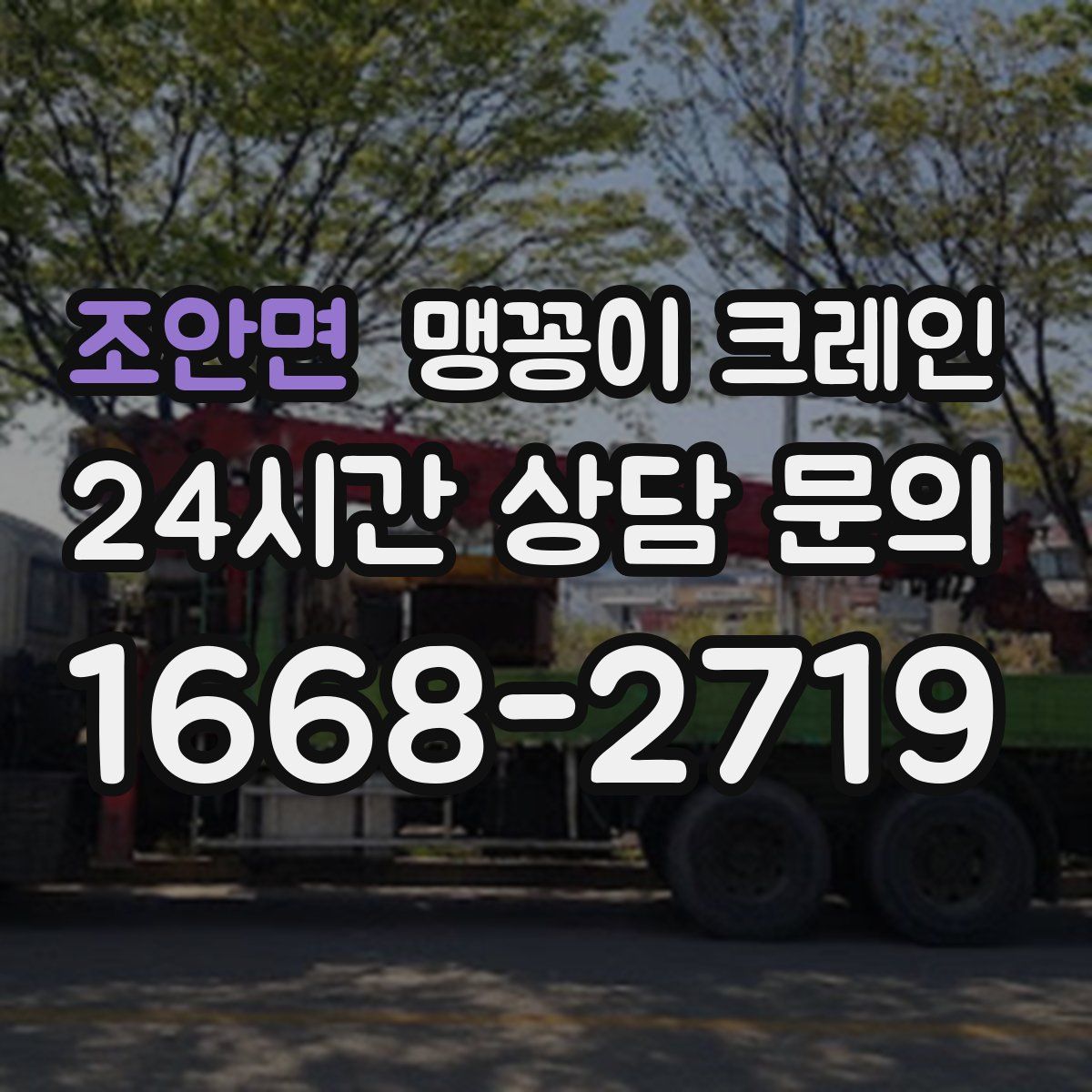 조안면 맹꽁이 크레인