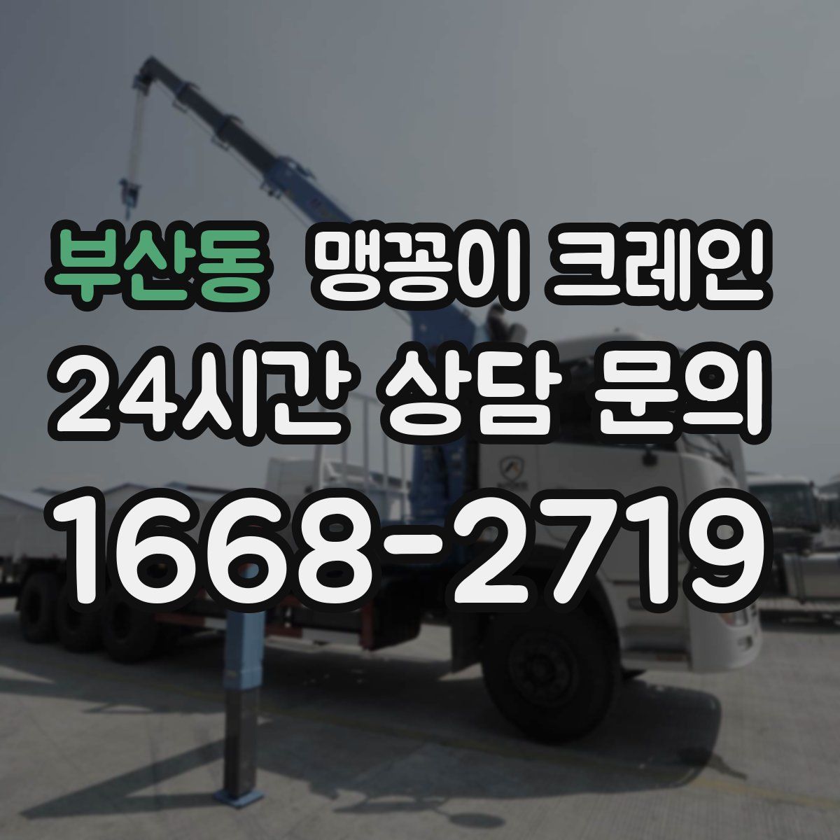 부산동 맹꽁이 크레인