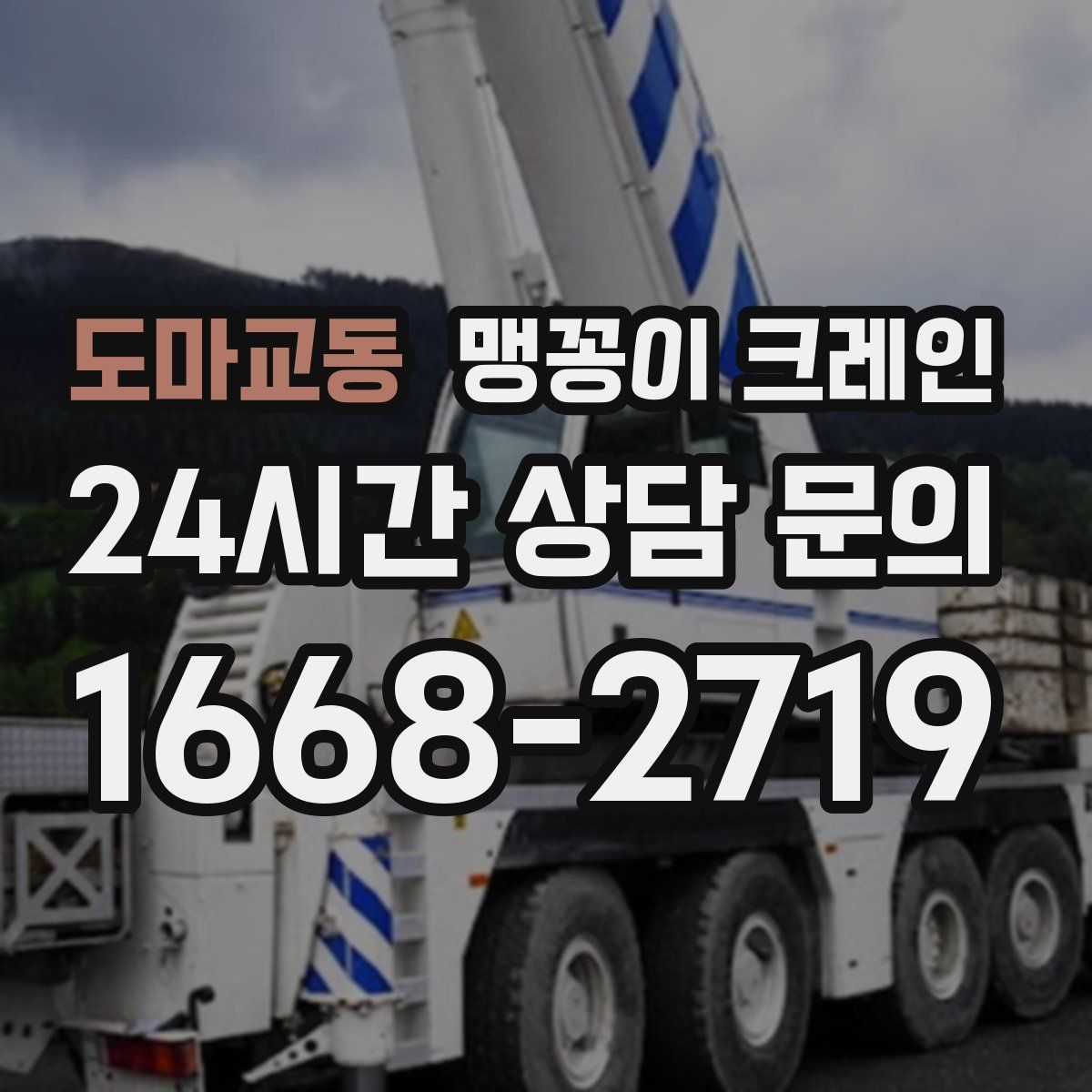 도마교동 맹꽁이 크레인