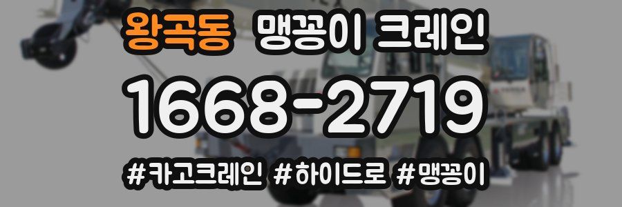 왕곡동 맹꽁이 크레인