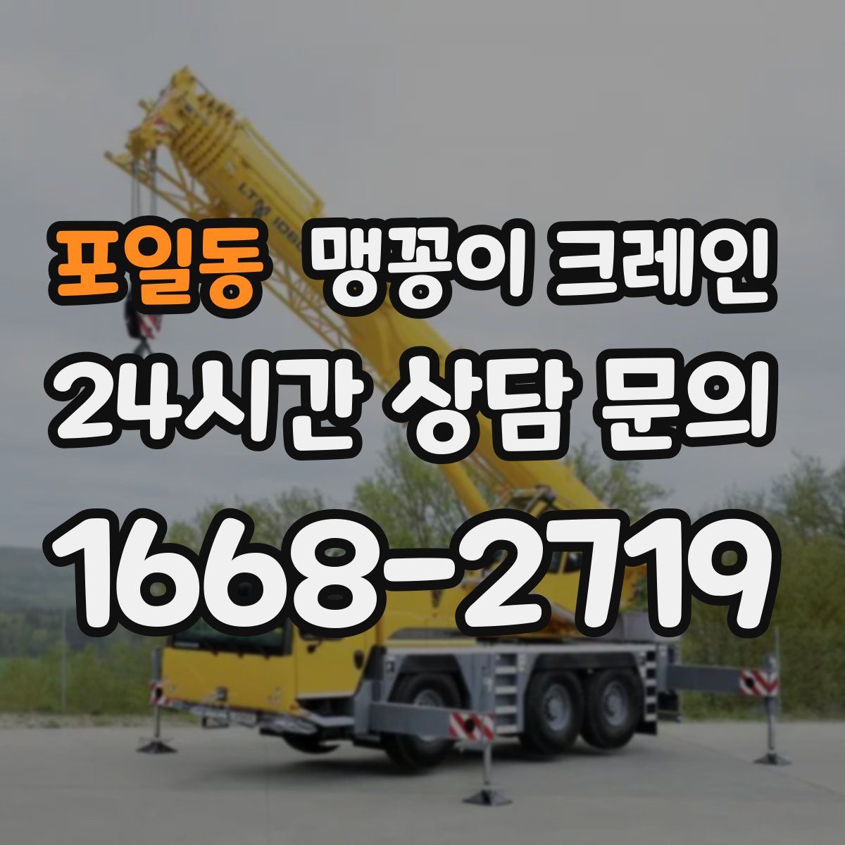 포일동 맹꽁이 크레인