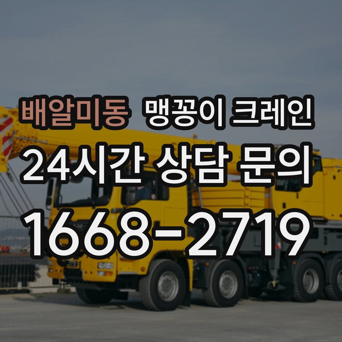 배알미동 맹꽁이 크레인