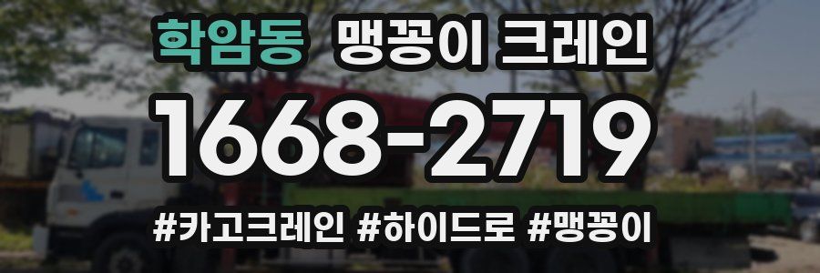 학암동 맹꽁이 크레인