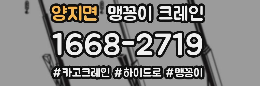 양지면 맹꽁이 크레인