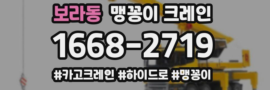 보라동 맹꽁이 크레인