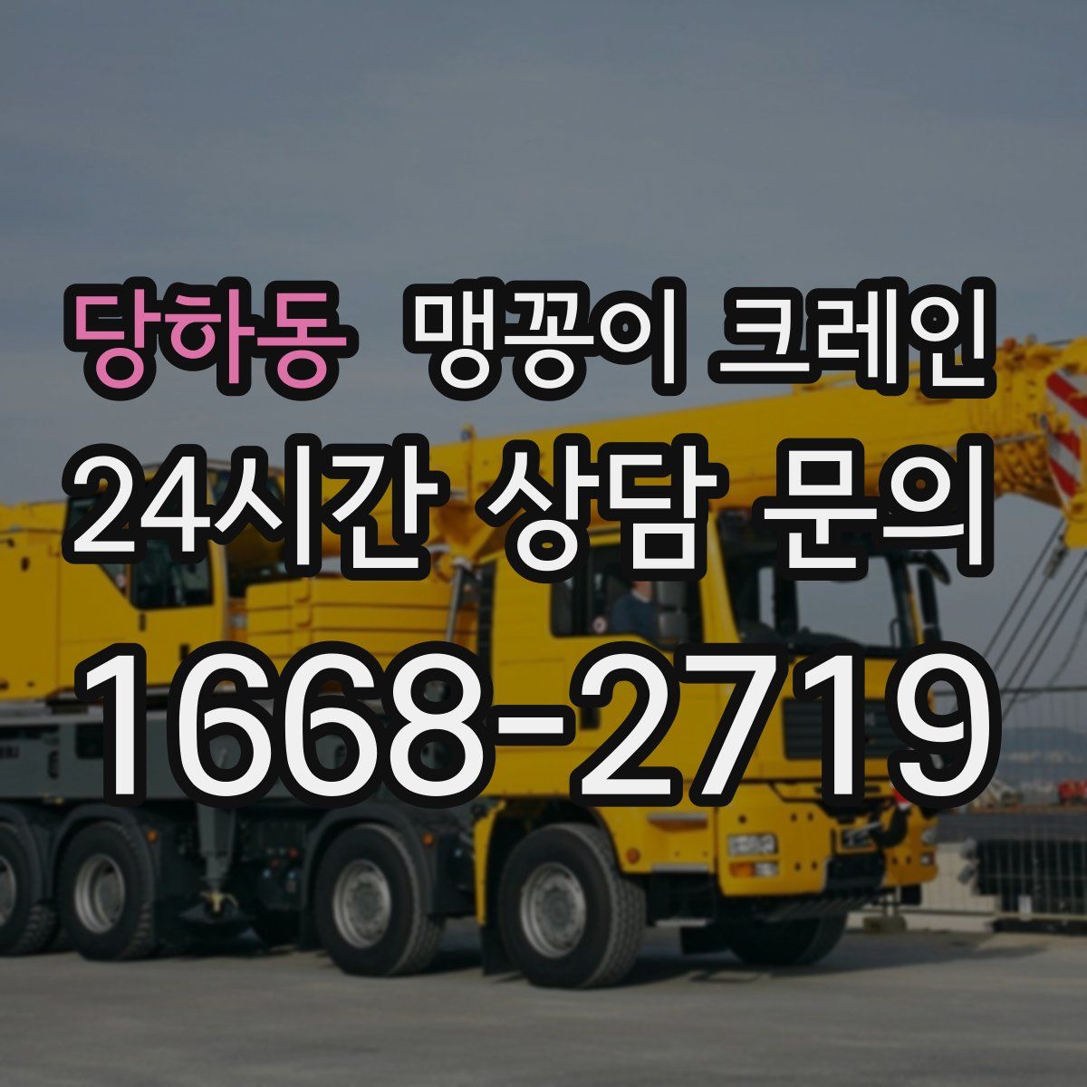 당하동 맹꽁이 크레인