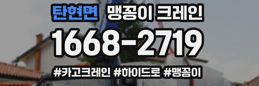 탄현면 맹꽁이 크레인