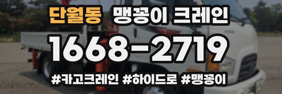 단월동 맹꽁이 크레인