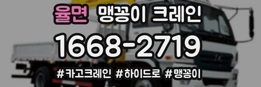 율면 맹꽁이 크레인