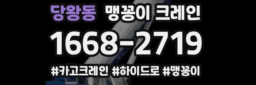 당왕동 맹꽁이 크레인