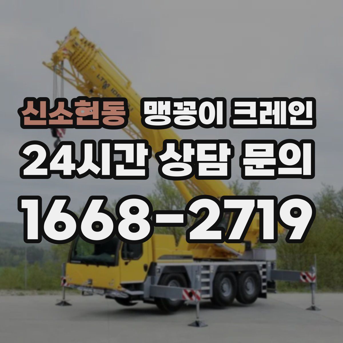 신소현동 맹꽁이 크레인