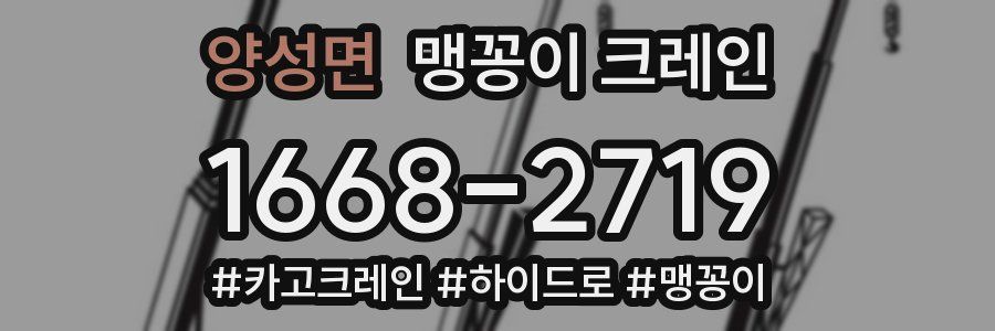 양성면 맹꽁이 크레인