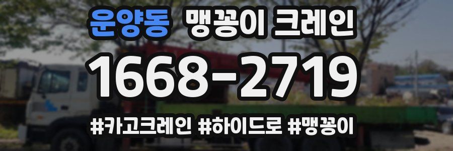 운양동 맹꽁이 크레인
