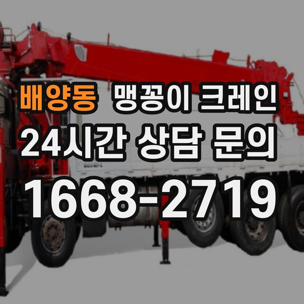 배양동 맹꽁이 크레인