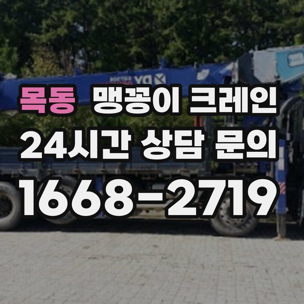 목동 맹꽁이 크레인