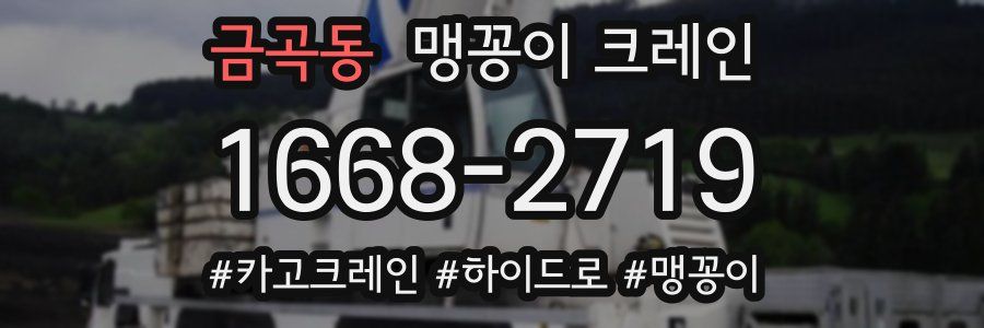 금곡동 맹꽁이 크레인