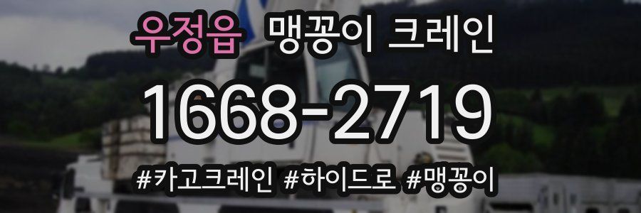 우정읍 맹꽁이 크레인