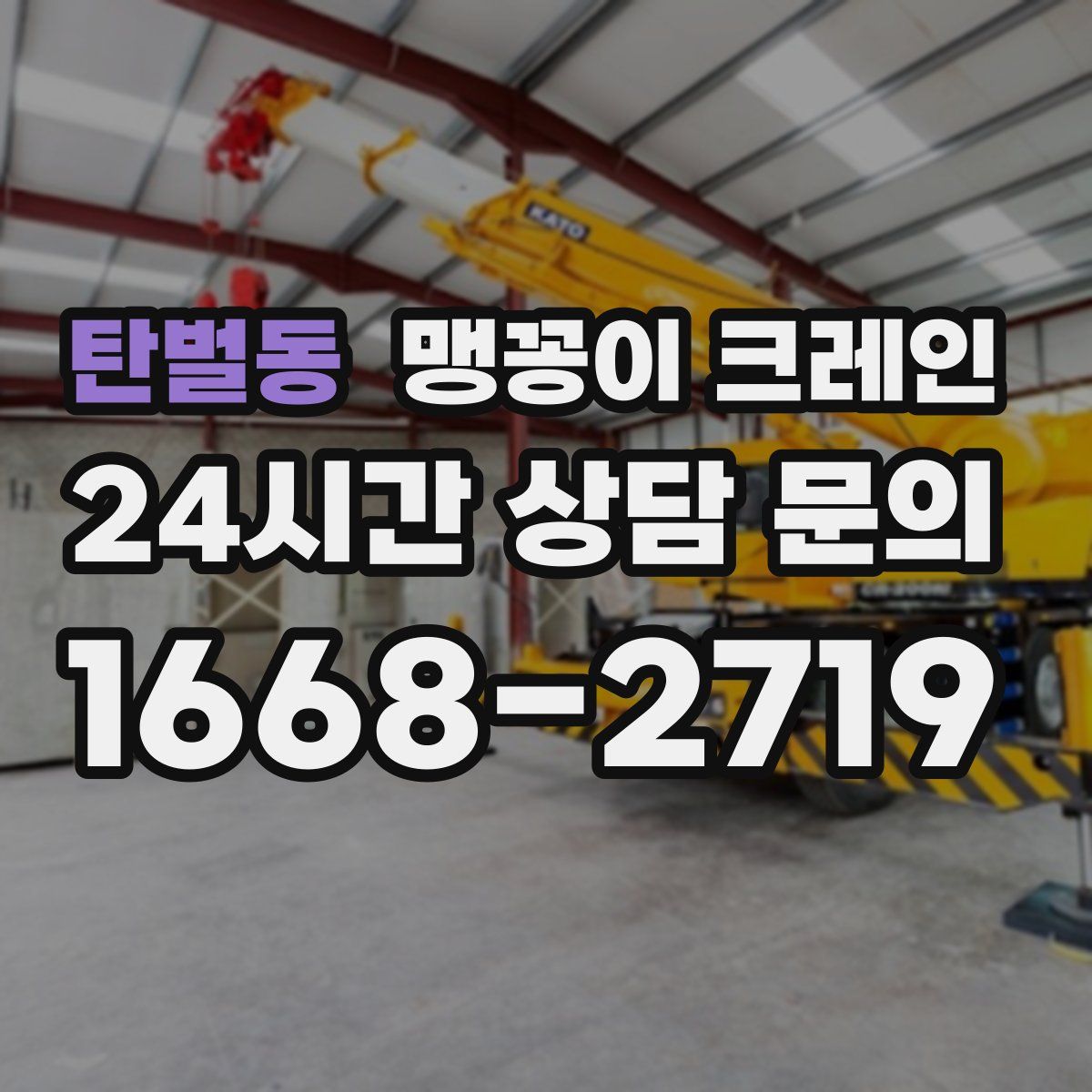 탄벌동 맹꽁이 크레인