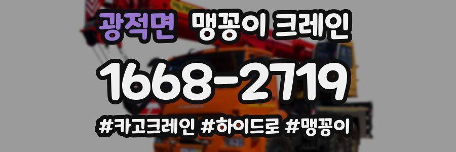 광적면 맹꽁이 크레인
