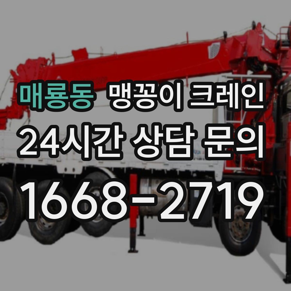 매룡동 맹꽁이 크레인 스카이차와 장비 선택 기준을 비교