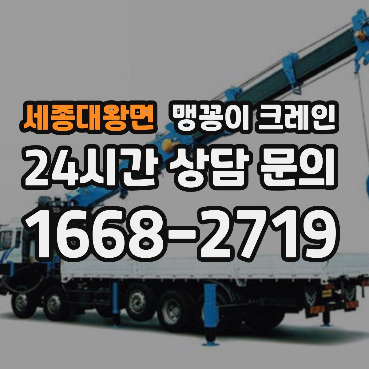 세종대왕면 맹꽁이 크레인