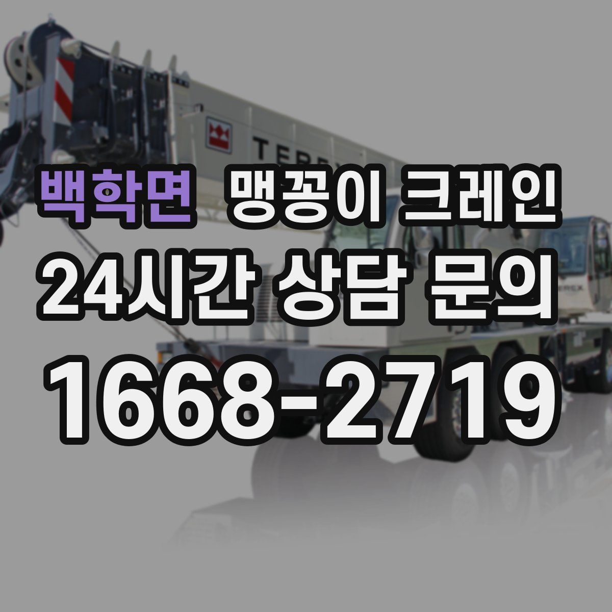 백학면 맹꽁이 크레인