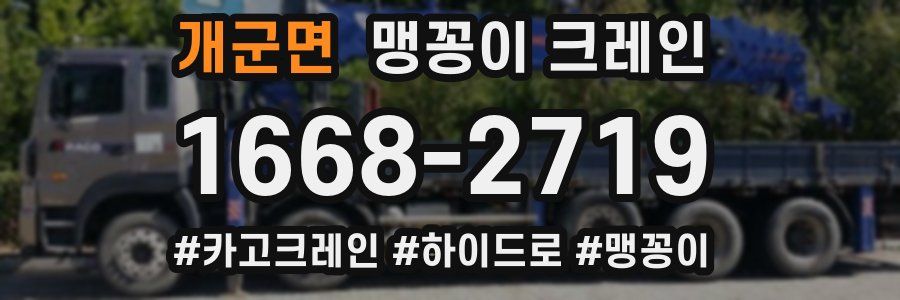 개군면 맹꽁이 크레인