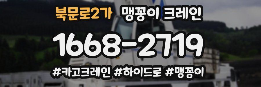 북문로2가 맹꽁이 크레인