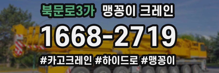북문로3가 맹꽁이 크레인
