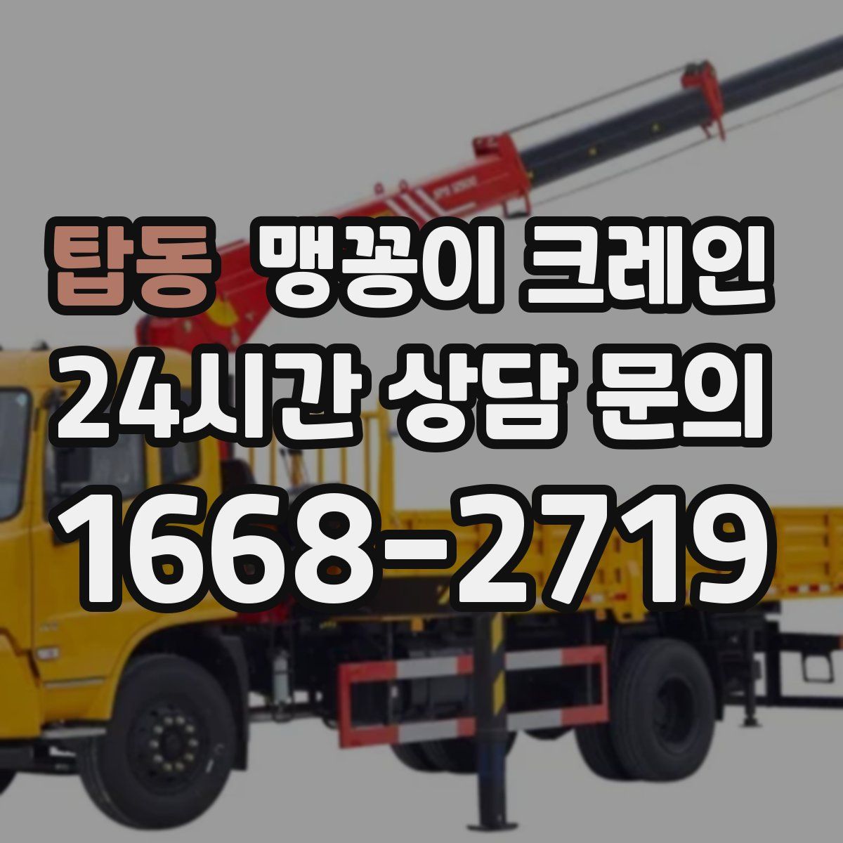 탑동 맹꽁이 크레인