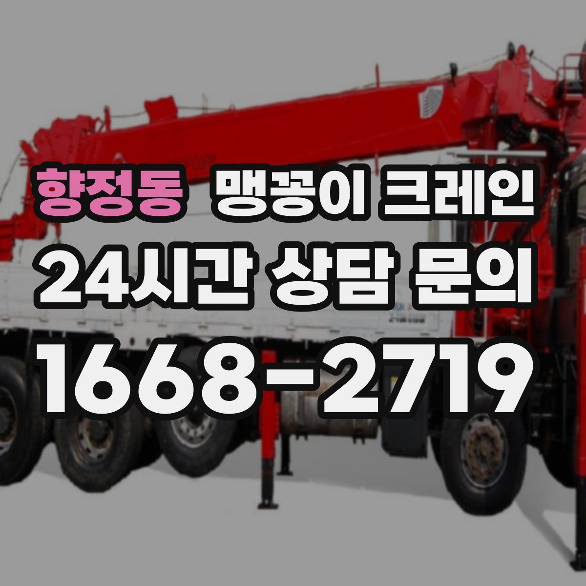 향정동 맹꽁이 크레인