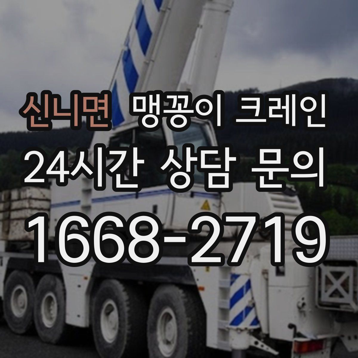 신니면 맹꽁이 크레인