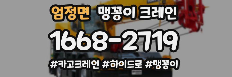엄정면 맹꽁이 크레인